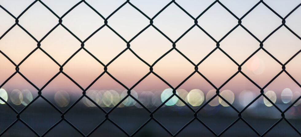 What Is Cheaper Than A Wood Fence?