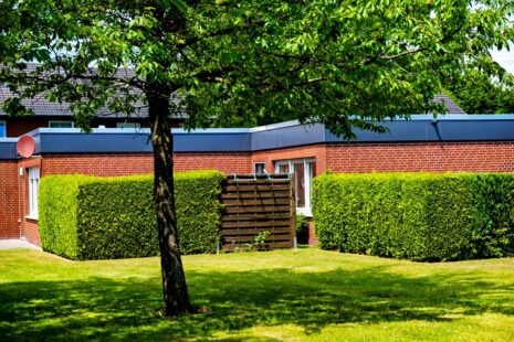 What Is Cheapest Fence Or Hedge?