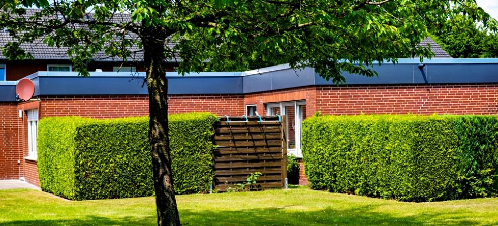 What Is Cheapest Fence Or Hedge?