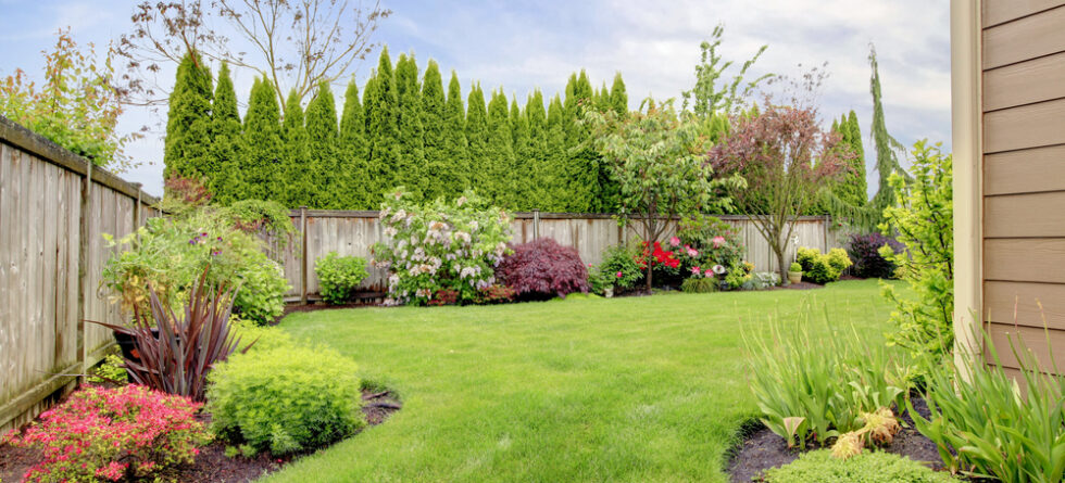 How Do I Make My Backyard Have Less Noise From