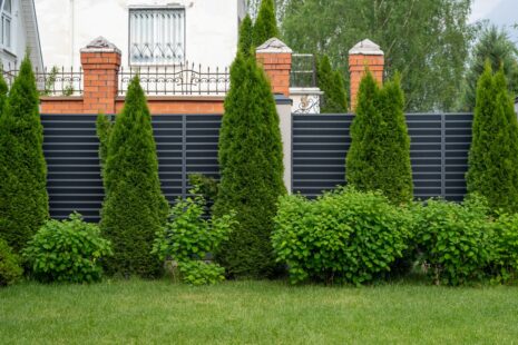 What Is The Best Fence For Nosy Neighbors?