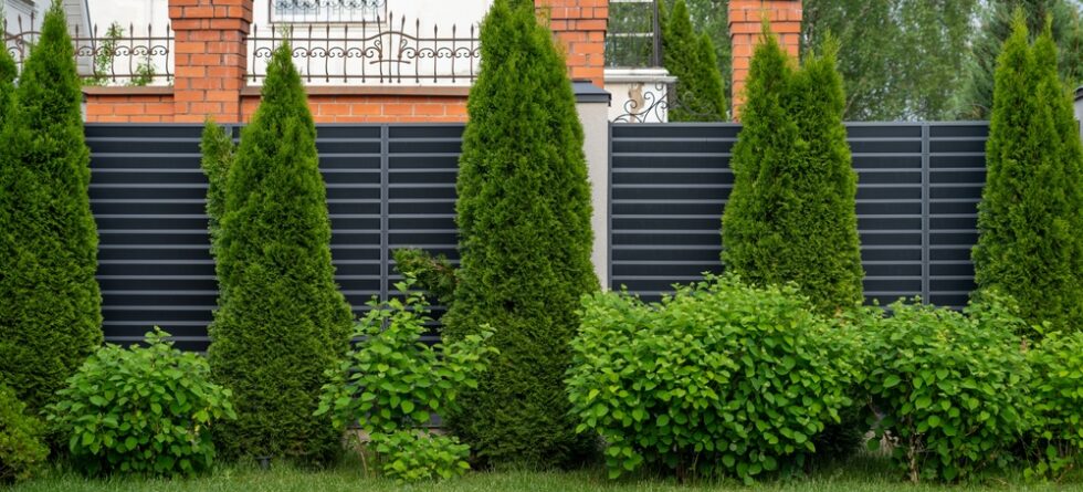 What Is The Best Fence For Nosy Neighbors?