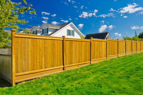 Which Is Better Vinyl Or Cedar Fence?