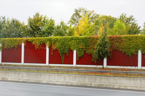What Is The Best Fence For Noise Reduction?