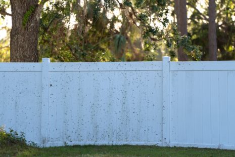 How Do I Keep My Vinyl Fence From Turning Green?