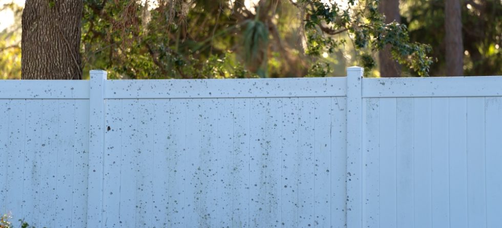 How Do I Keep My Vinyl Fence From Turning Green?