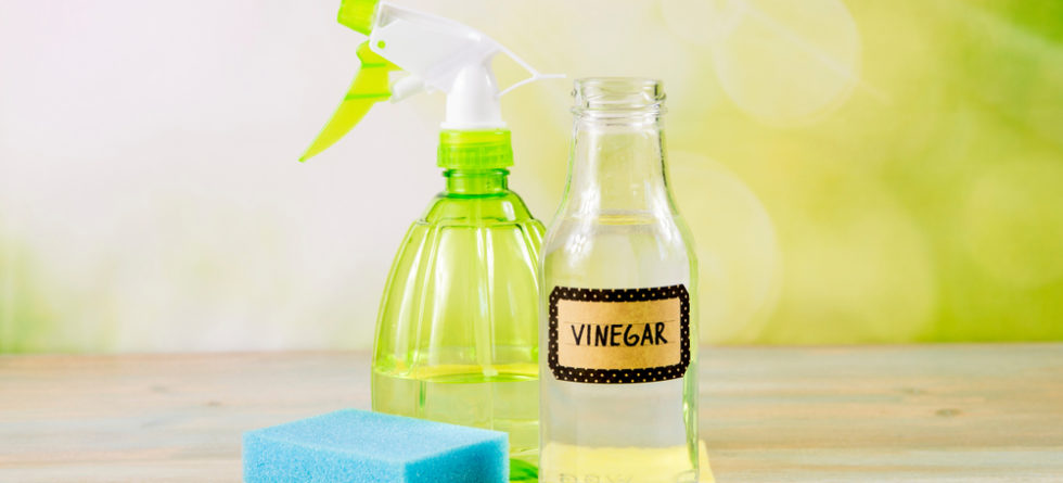 Will Vinegar Clean Vinyl Fence?