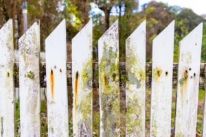 How Do You Remove Mold And Mildew From Vinyl Fence?