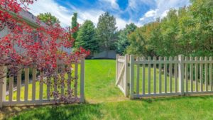 What Is The Best Fencing For A Backyard?