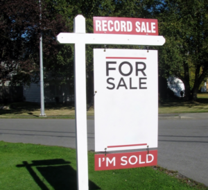 vinyl real estate post